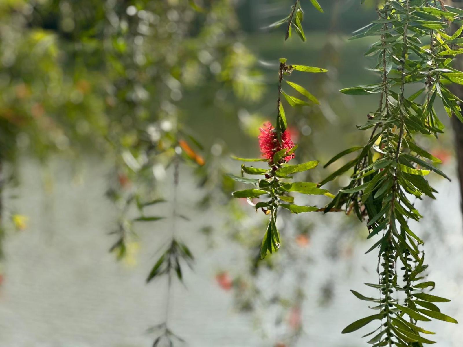 Lakeside By Clover Nuwara Eliya